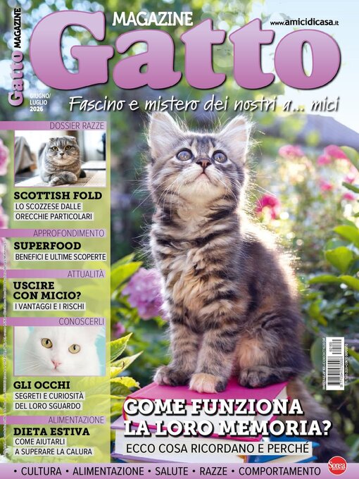 Cover image for Gatto Magazine